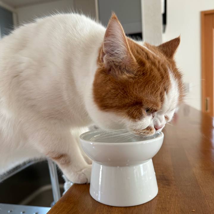 Ea42b3bf f327 4acb a46a 08d50819e58c 1770345981080