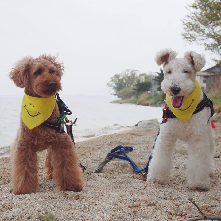 Ea42b543 d65f 48c3 9db1 9cea34de4b32 1555894061531