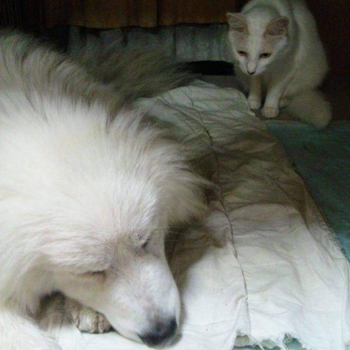 Ea42de35 358b 4ddd 905b f33fd8826d06 1680317045629