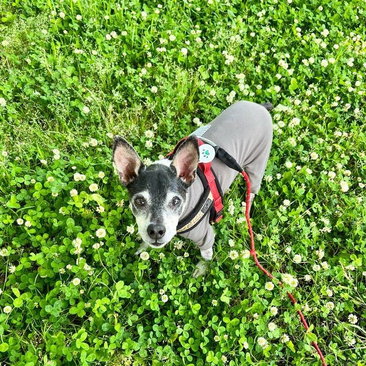 Ea42dfd0 44f3 453b 968a 2147239989d5 1651716860026