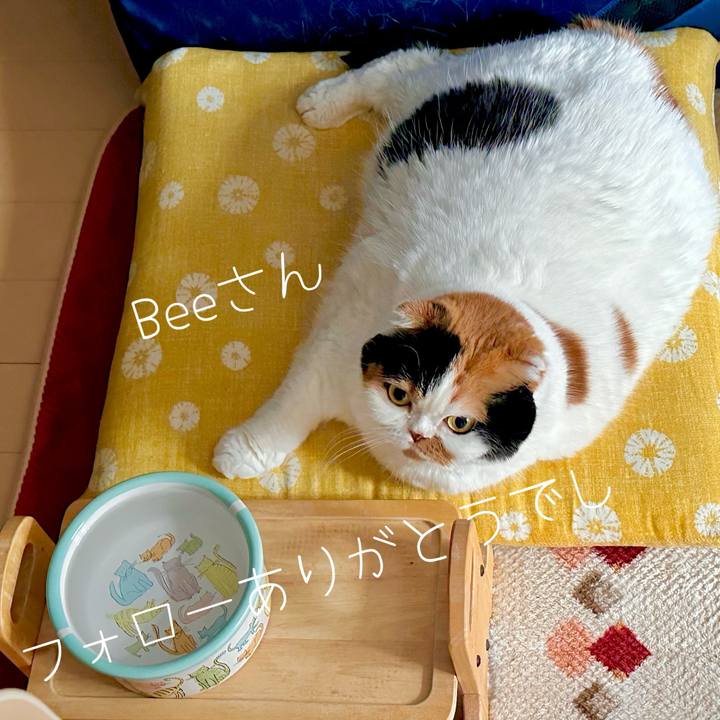 Ea431529 35e7 4f5a 8d14 1fa70d026085 1701643437232