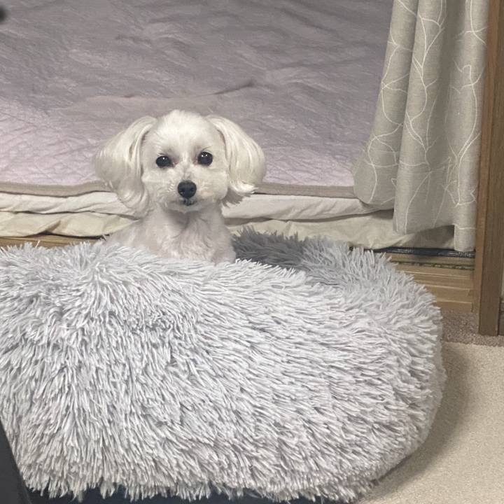 Ea432cc0 1c50 4ac8 b783 2b3fd5deb9ca 1652966957940