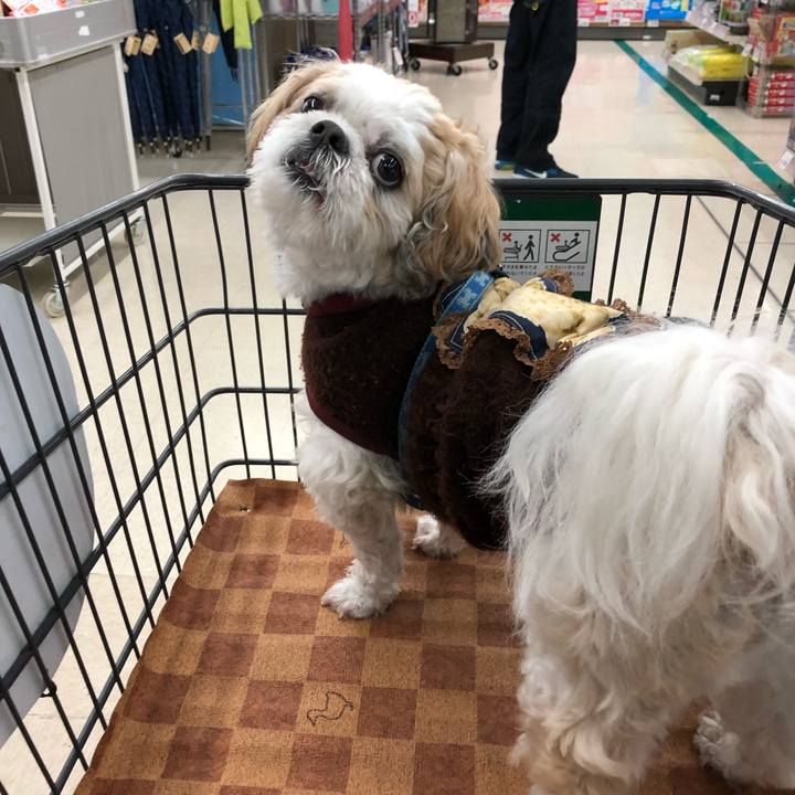 Ea434eb6 33f4 403e b08d 619206c57f58 1575323389067