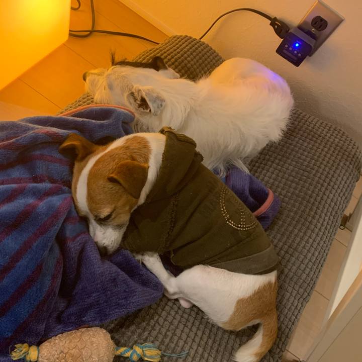 Ea436dfd 39fb 47d8 9155 dab452fecf60 1572614464461