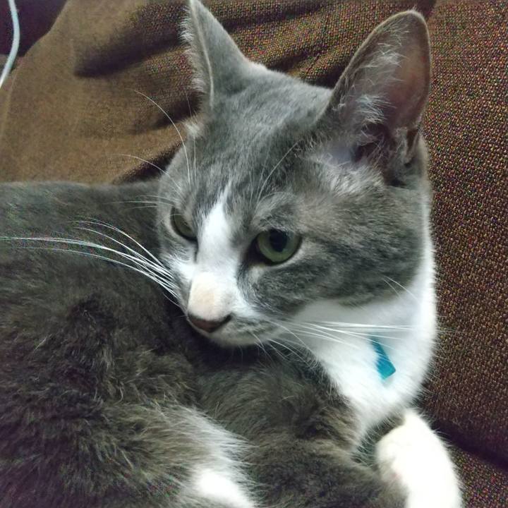 Ea43767c d1a9 4fbb bf8c a99d8f9889f2 1640134033218