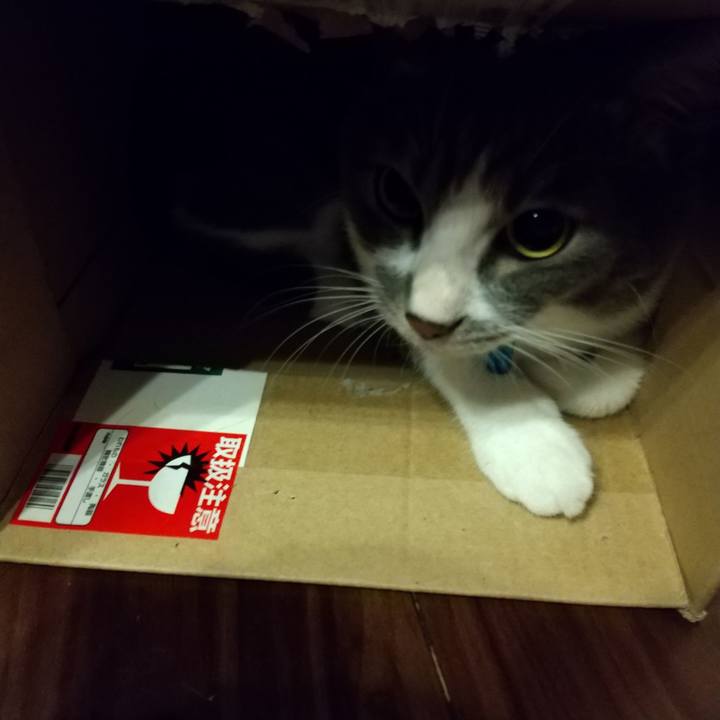 Ea43a7e9 6d85 4405 99ec 07ce2f606aab 1597844227803