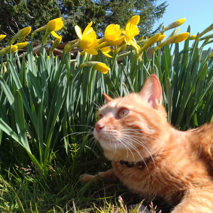 Ea43ae58 f8fc 4040 8d51 10269f11ea5e 1680501200009