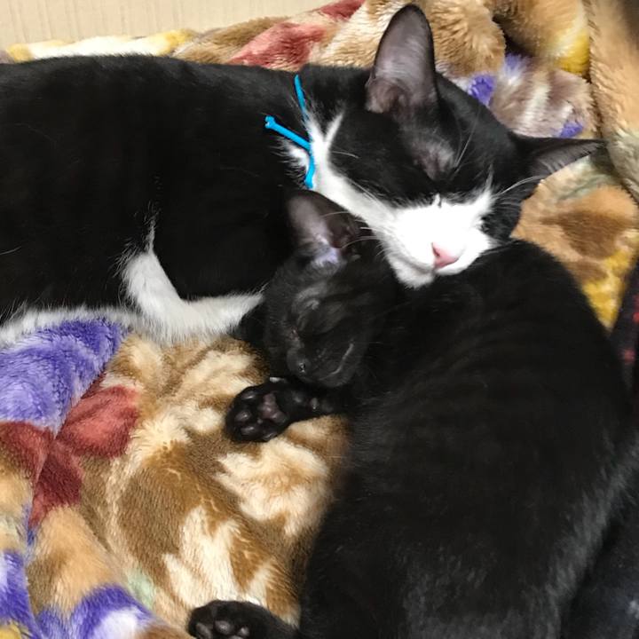 Ea43c5bb c44d 4f95 b046 16e4223b154b 1513837893407