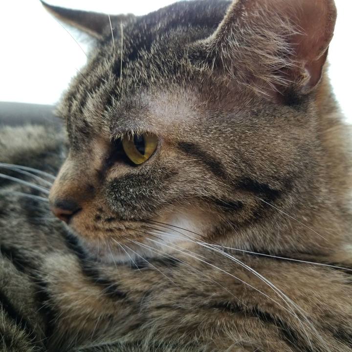 Ea43e45f fce5 4e2b 81fb 7966234b63ff 1567810428845