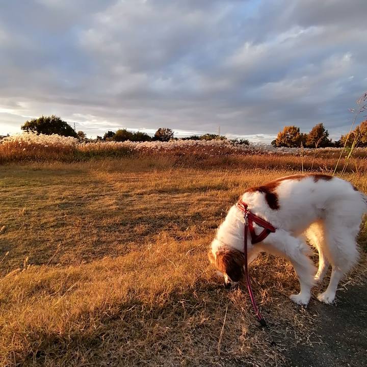 Ea43f6c4 ec8c 433e bd3b 5b222e0b57b5 1605783685697