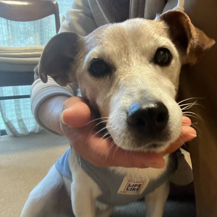 Ea43fb8d 035e 49da 8383 2c45414a75de 1762845341404