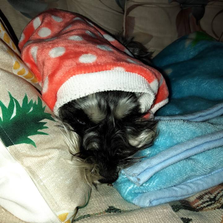 Ea4419f0 71f0 484d b094 28d1001ae9c4 1525424729033