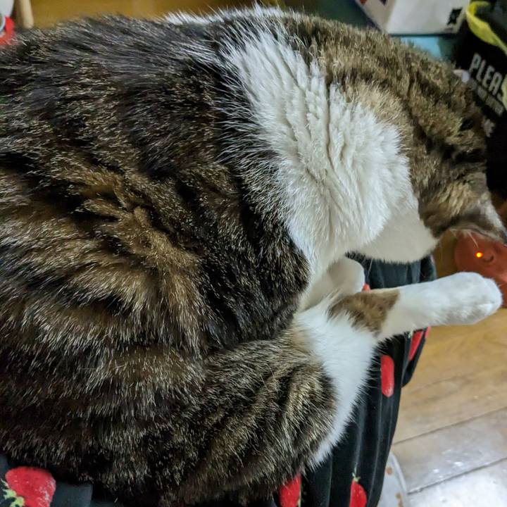 Ea442482 7b72 4e90 ac97 20def5f794da 1675046066529