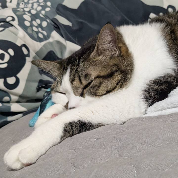 Ea4429ba 1065 4c9a be72 7b0de6529c8d 1761305620384