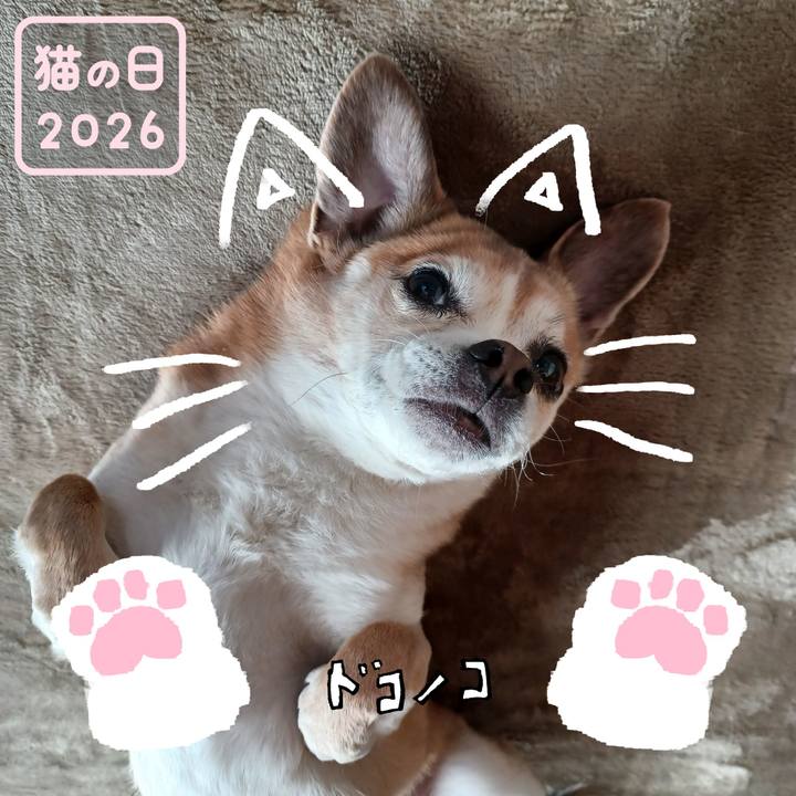 Ea443a3a 9490 468e 9e66 12489c993936 1771743611835