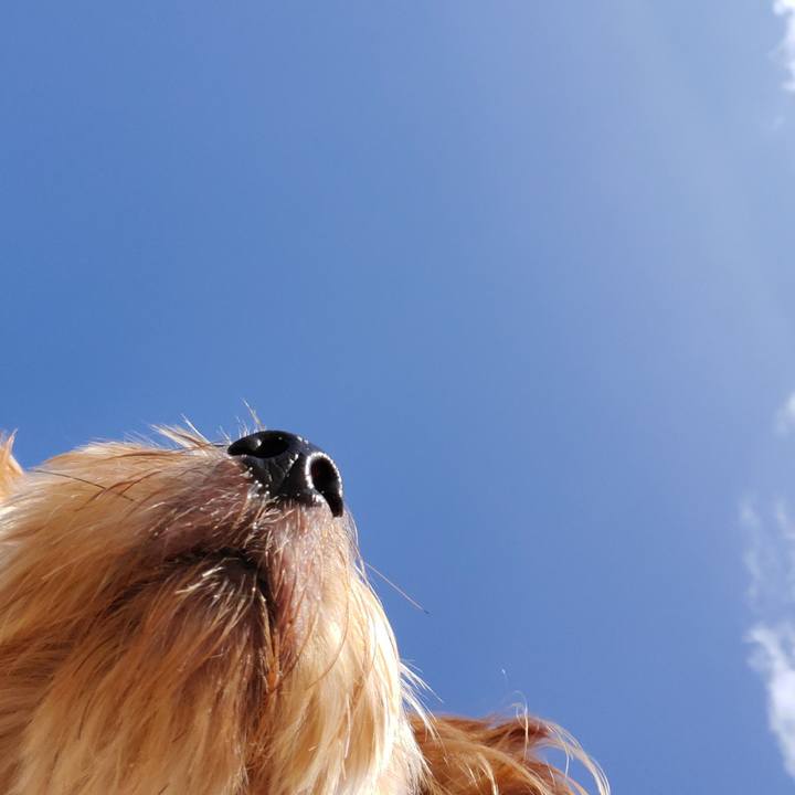 Ea443fac 89b4 4d3e ab60 b01d70b74cf3 1573521969622