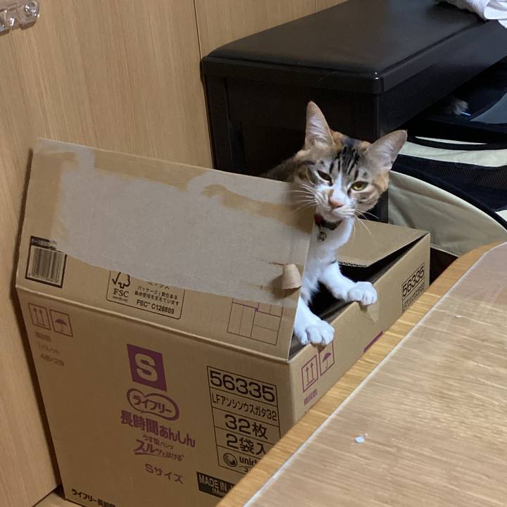 Ea444625 21d4 44c8 815f 93afa9d300bd 1671321537833