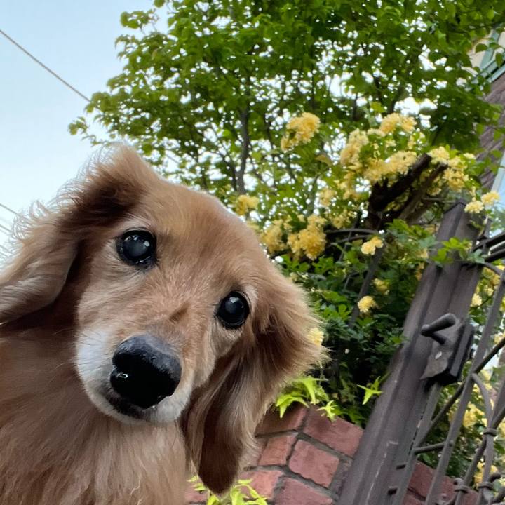 Ea446c48 b74a 414f 834f 6dee5111b701 1682173732349