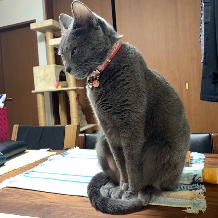 Ea448f45 8d59 4b74 a185 5df4ee8a2f94 1610285037072