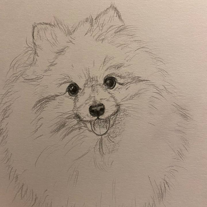 Ea449b9e b6c1 432a a084 a3e23718d1fc 1643117881278