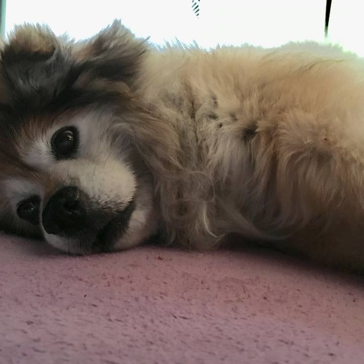 Ea44e1de 2bee 4628 bfa7 ac44dc99fe67 1616904831190