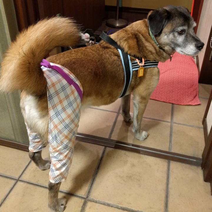 Ea44f136 e2c3 437a aa7a 611cb08849cb 1518171396562