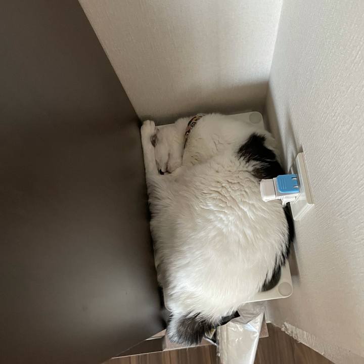 Ea4501aa 949a 4b4b 8c99 50be43204b61 1629418431126