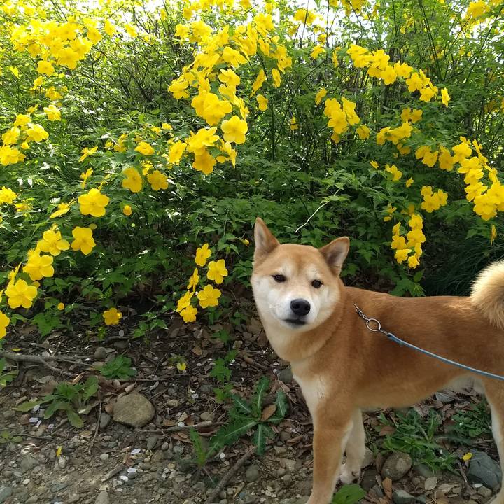 Ea4515cb eb6c 46ac a873 39c63ddca087 1522823431370