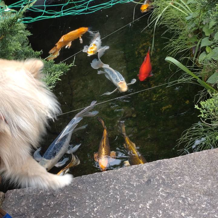 Ea452037 08a2 4fd0 8c5c 283db1db34f4 1749187043155