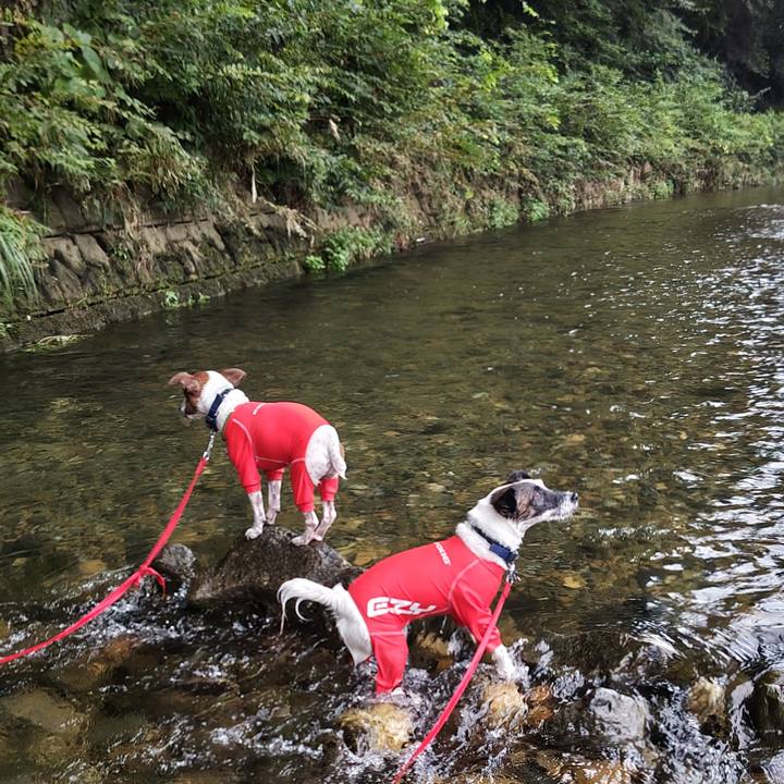 Ea453fe7 efaf 4025 83f2 981cab63ce3a 1723956374682