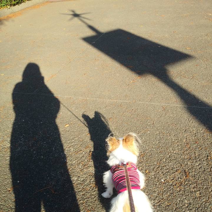 Ea4557c9 a1e3 46bf 8a19 51f6c09728a2 1577783118743