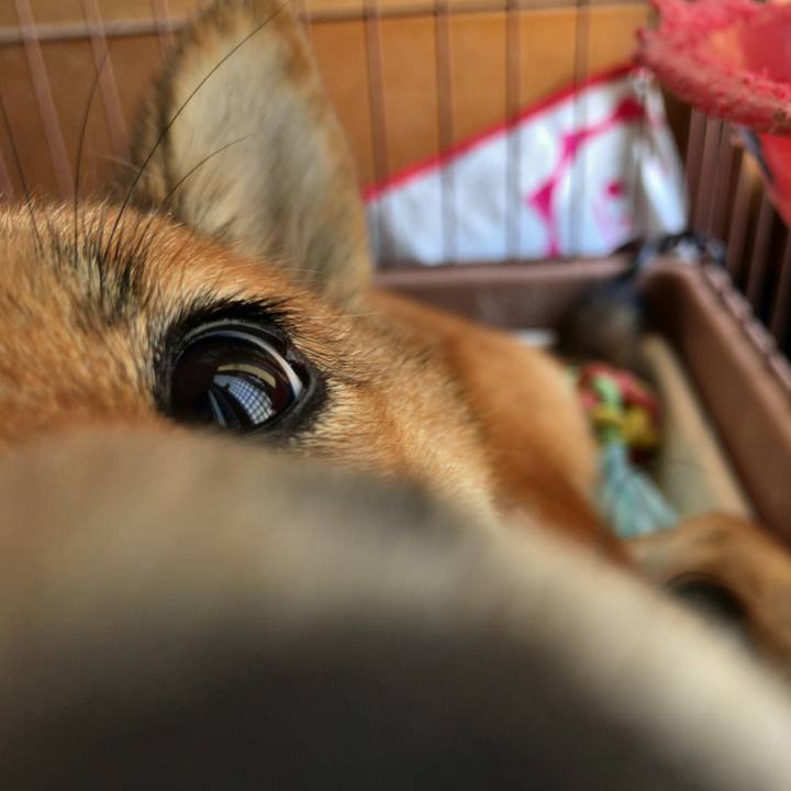 Ea455be3 703e 4e18 abd1 4110cd7b3653 1523758288232