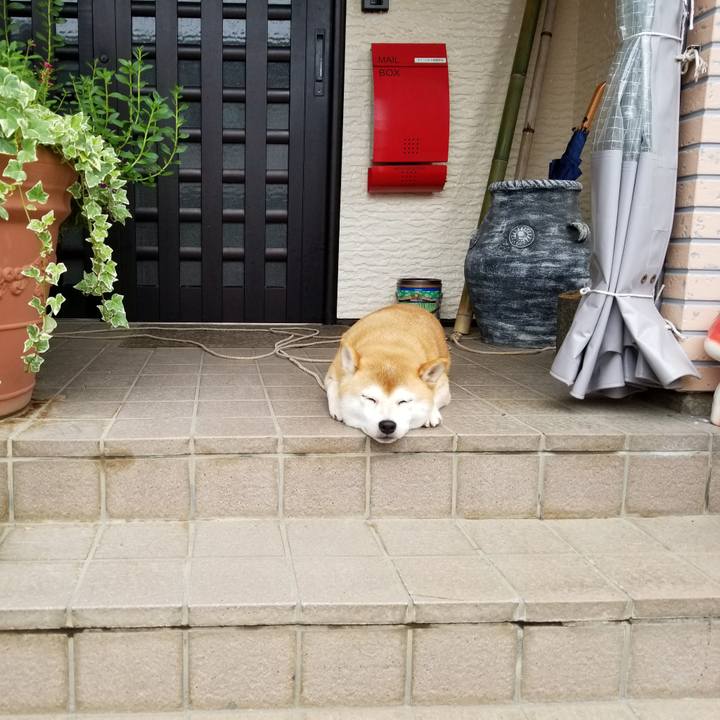 Ea455d3f cc50 43d0 8f98 27e95c87ba7f 1566427181278