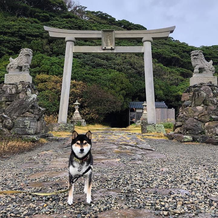 Ea4564a6 7540 4a34 933d 75ee41090149 1761918368842