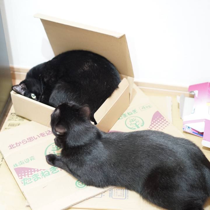 Ea45b2e3 e38b 4b6e bba9 3c2b6a6adab5 1557962713897