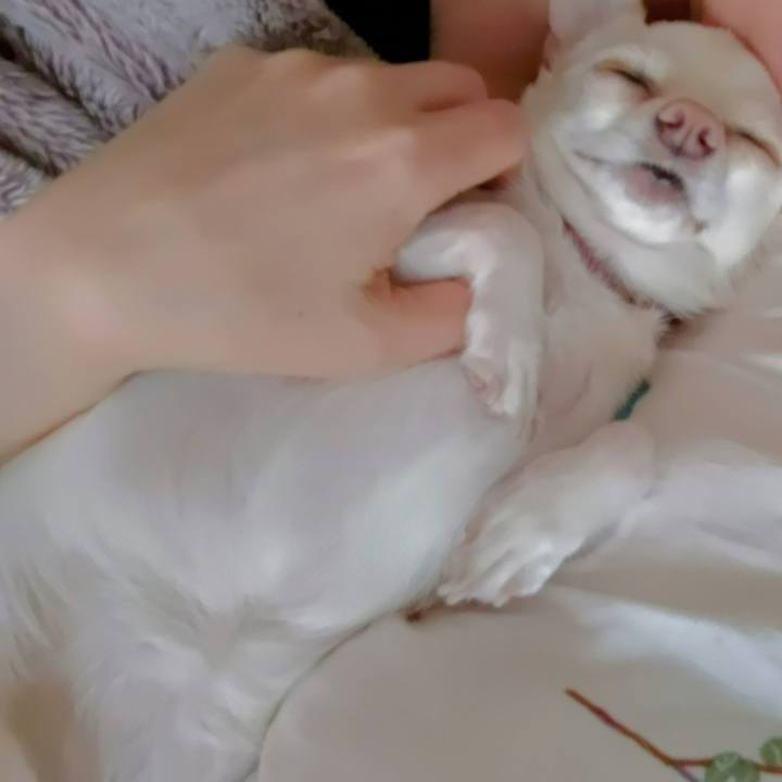 Ea45b89a 95a9 41a5 9bc3 f4a6f9a67389 1748036288555