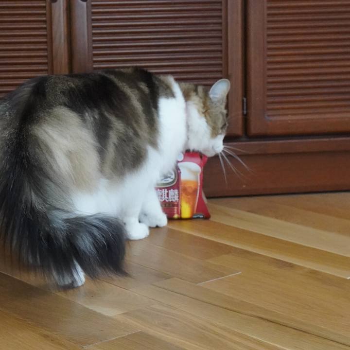 Ea45ba78 ca7f 4a47 b659 a9bd02720eb6 1636604457247