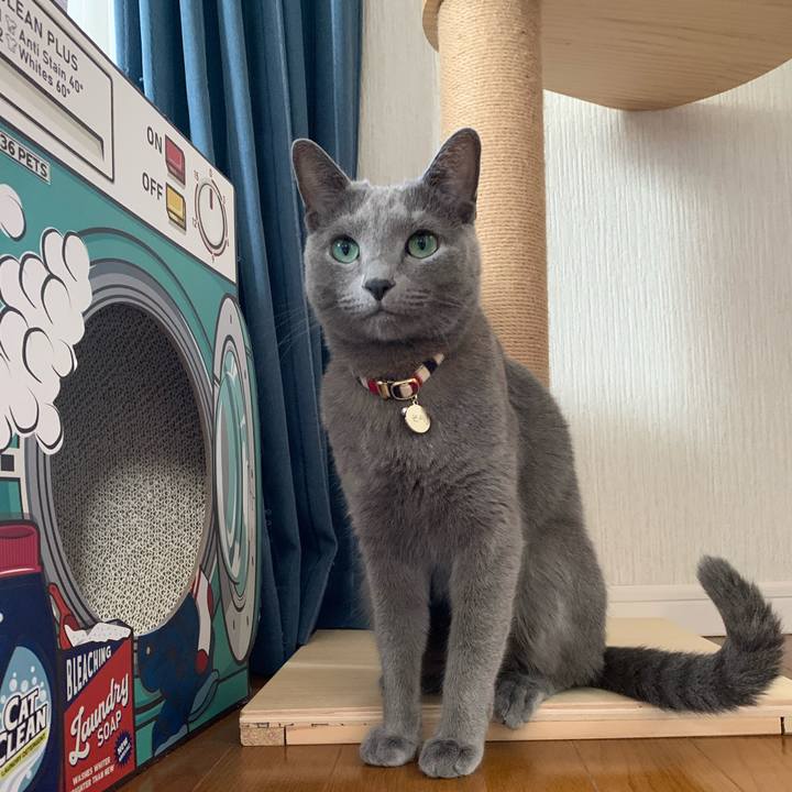 Ea45d7a4 5f06 4438 87fd 3b143891e1dd 1668324127946