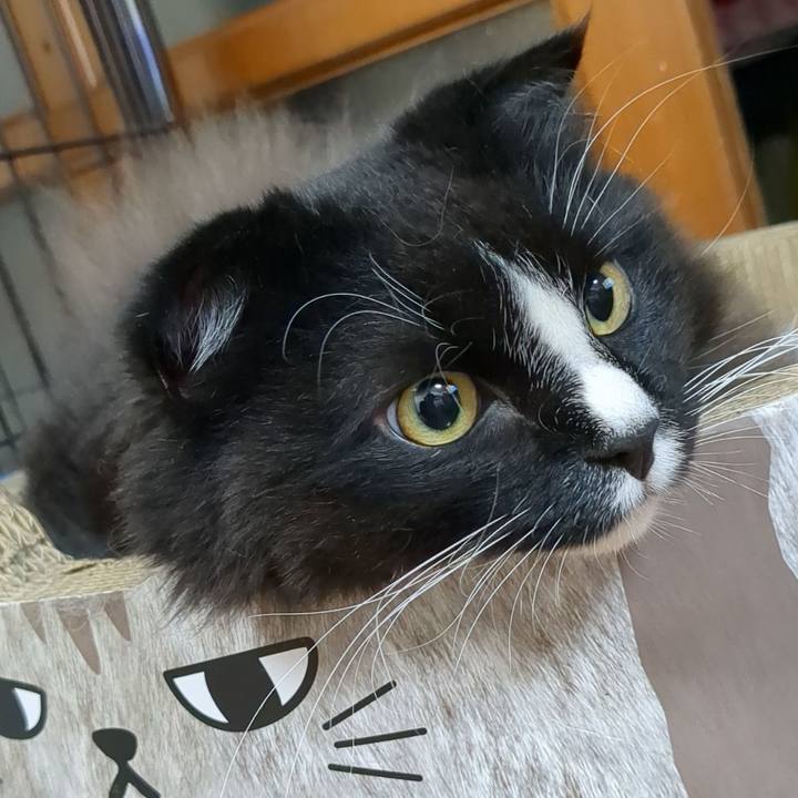 Ea45dbdf 9949 4cd9 9ec0 9e23eb2abbc0 1667997342556