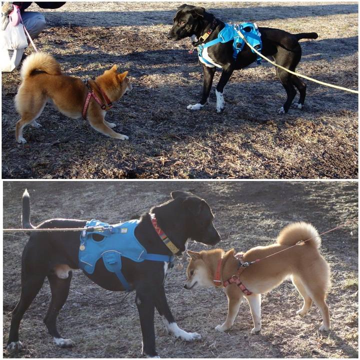 Ea45fbc7 3f34 47fa 8996 e00561f5e15d 1612311373127