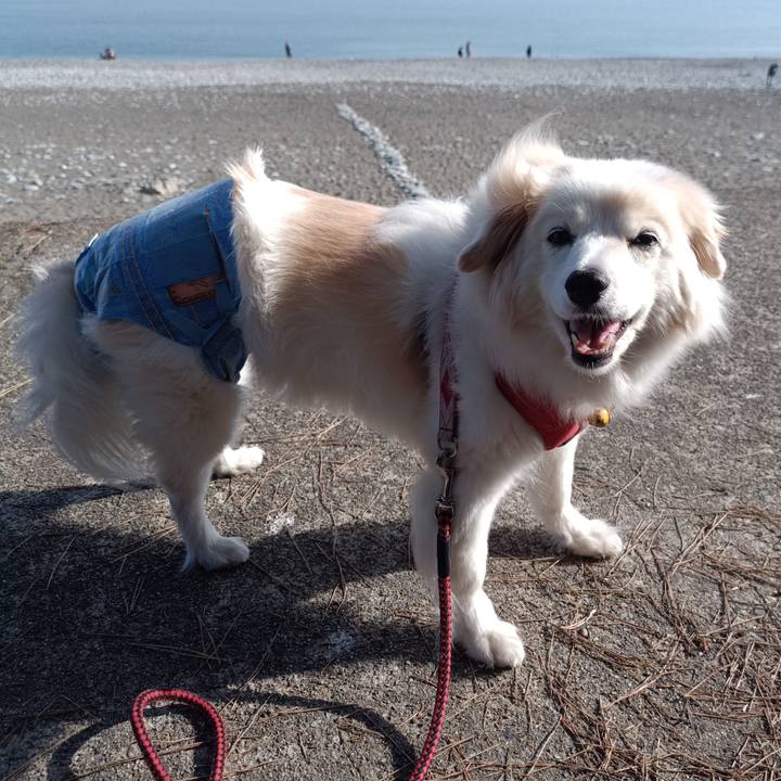 Ea461a00 9a23 4fd4 bf0f 215b82ee835d 1683153406007