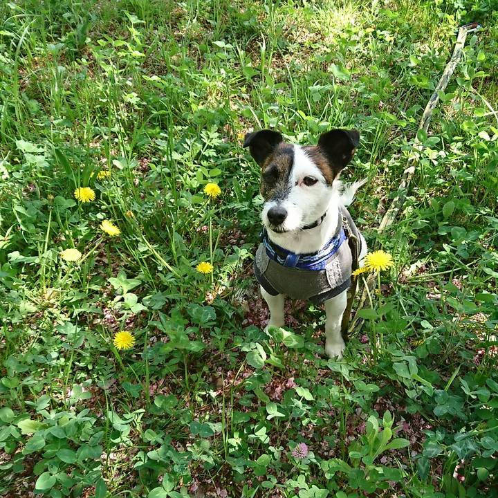 Ea466a2c 8951 4660 9b74 e3b88cd5a987 1523150848596