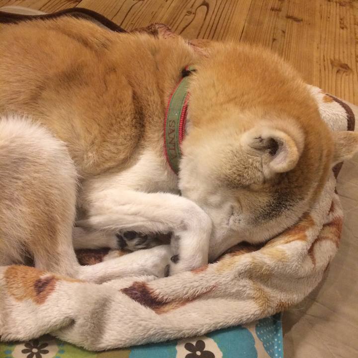 Ea4686be 9981 451c a188 5e28fcf5982f 1581256274250