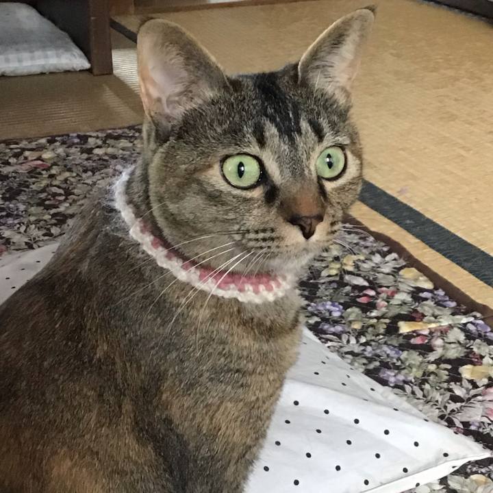 Ea468b68 e47d 4f26 bba7 dd20d8cc9412 1653985961444