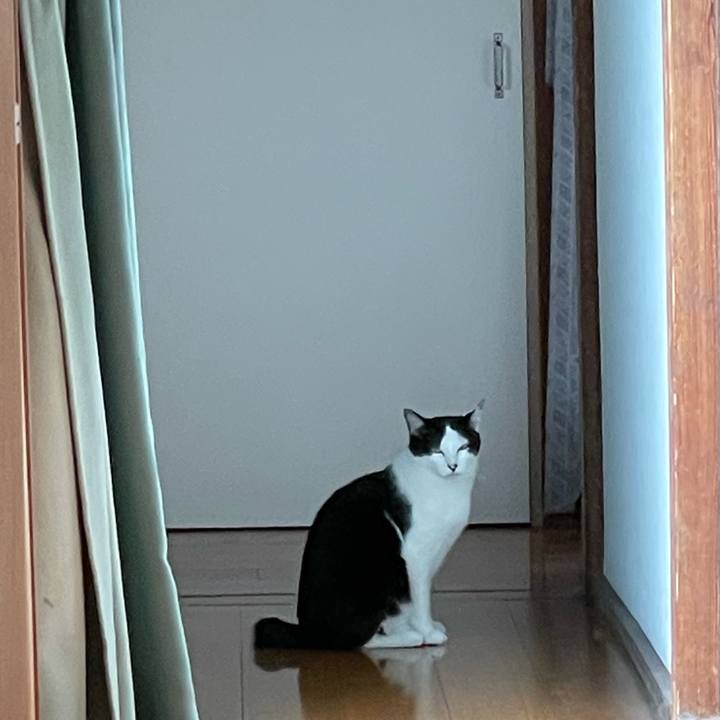 Ea469988 5d0d 455d 8143 1d52c3e9b7da 1622613634419