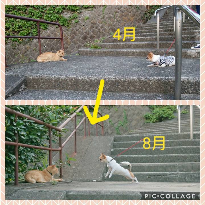 Ea46a6f4 054c 4a2a a5c8 7dc907fd13d9 1566342506487