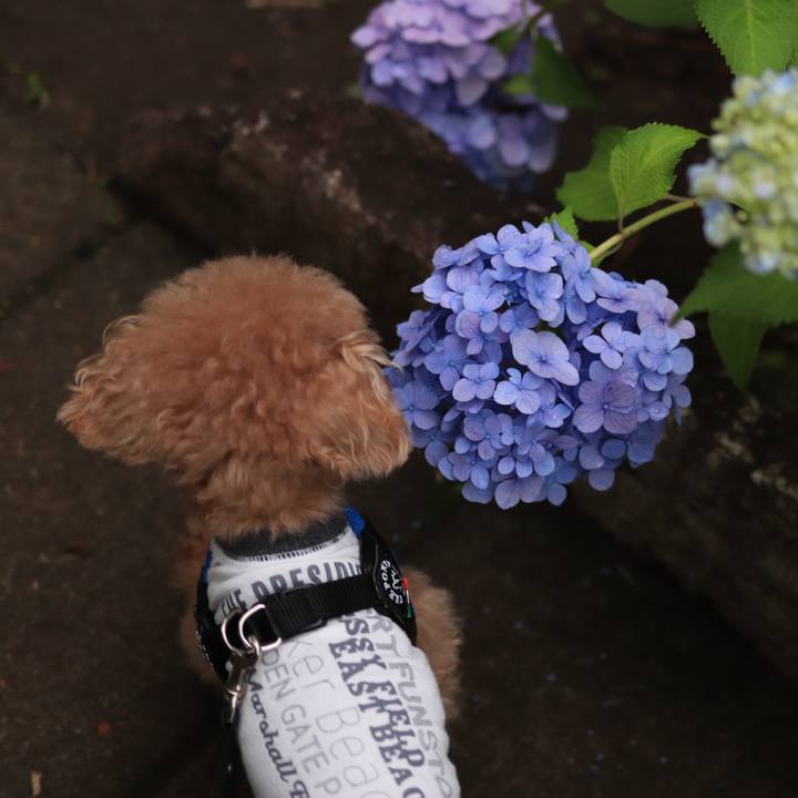 Ea46e635 baa1 44f1 bb2b 4e98cf9d9e69 1655381381855