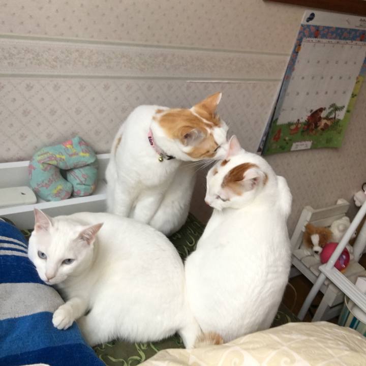 Ea470ae2 c5e7 4ae1 aff0 9c09be99b1e5 1523140035437