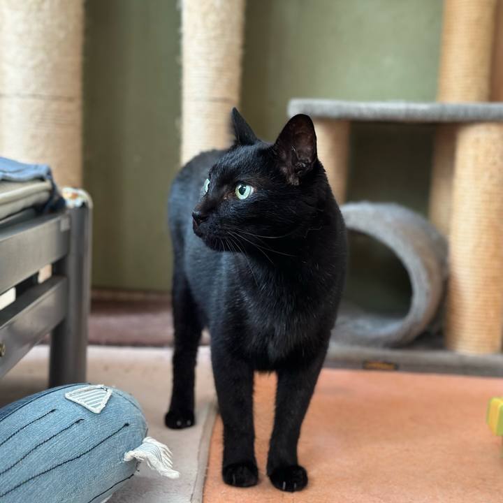 Ea475193 fe04 4813 bac7 fa9c64a6aaff 1664847952429