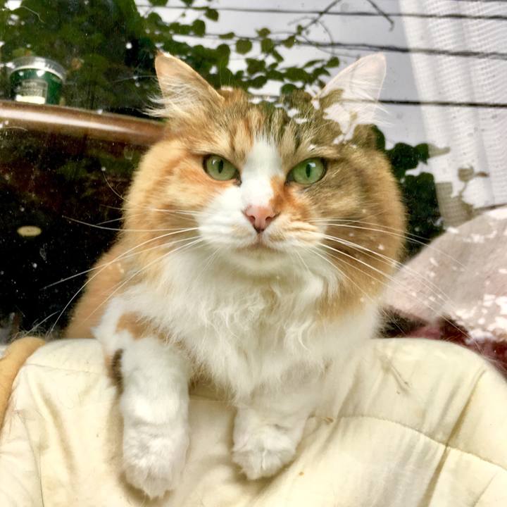 Ea478a1c 82f1 42c3 863a 1c249680391e 1561258373287